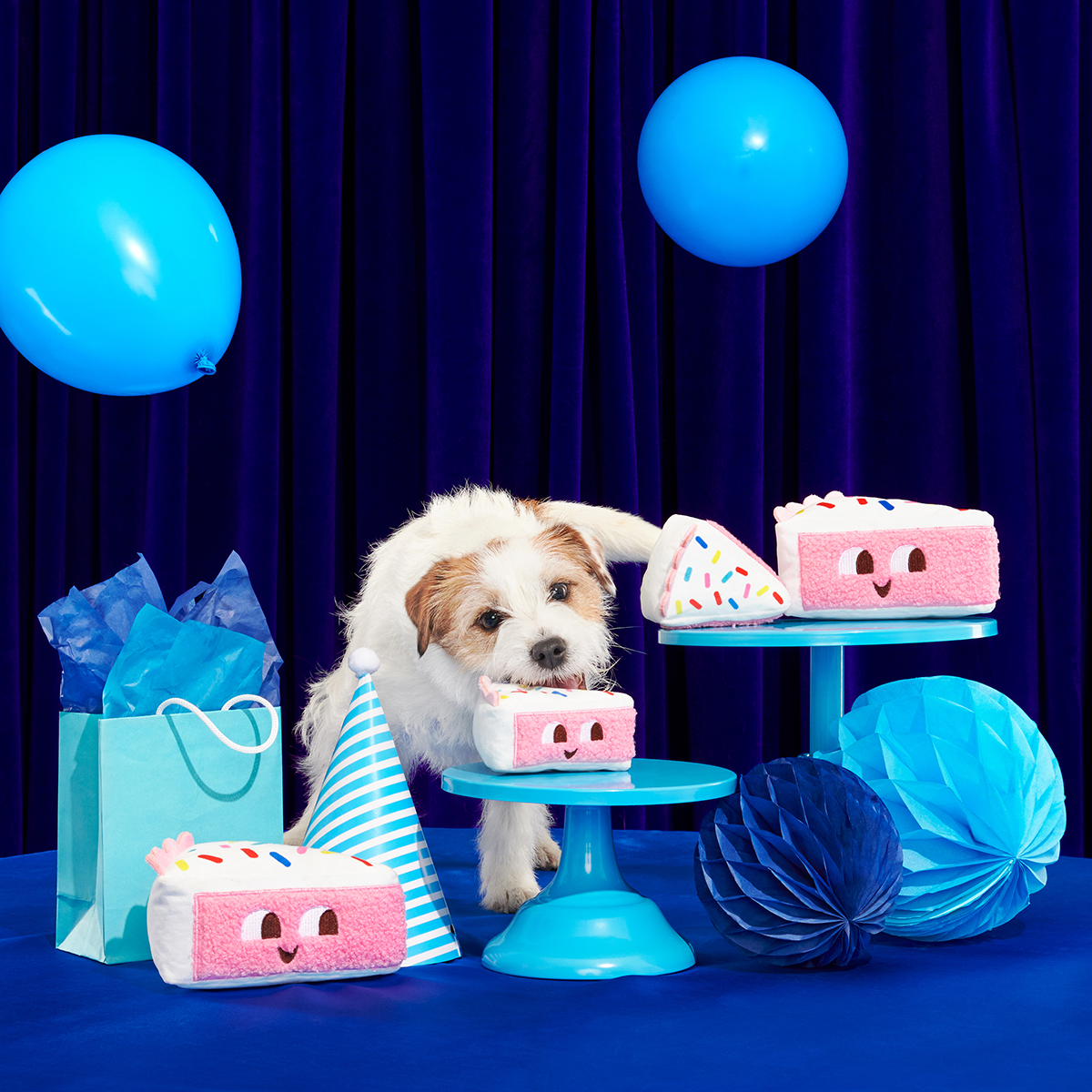 Birthday BarkBox (Toy-Only) - One Month Gift Box