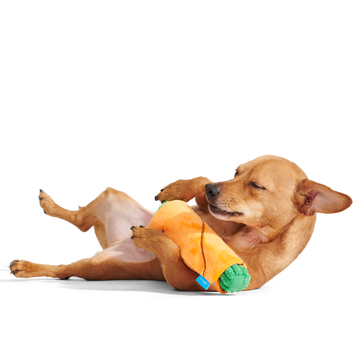 Bud Hounds BarkBox - One Month Gift Box#Dog Size_Small Dog