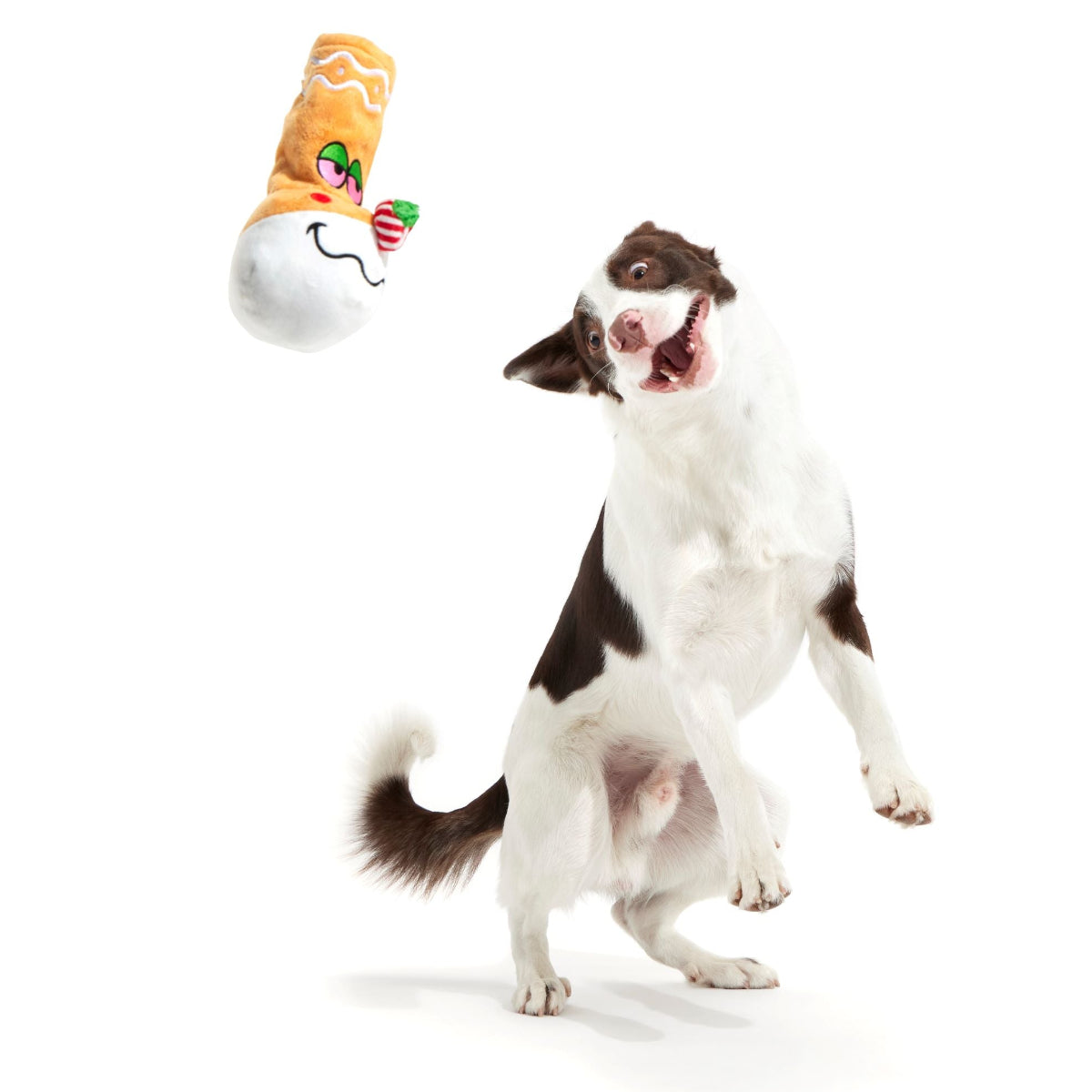 Gingerbong Plush Enrichment Dog Toy