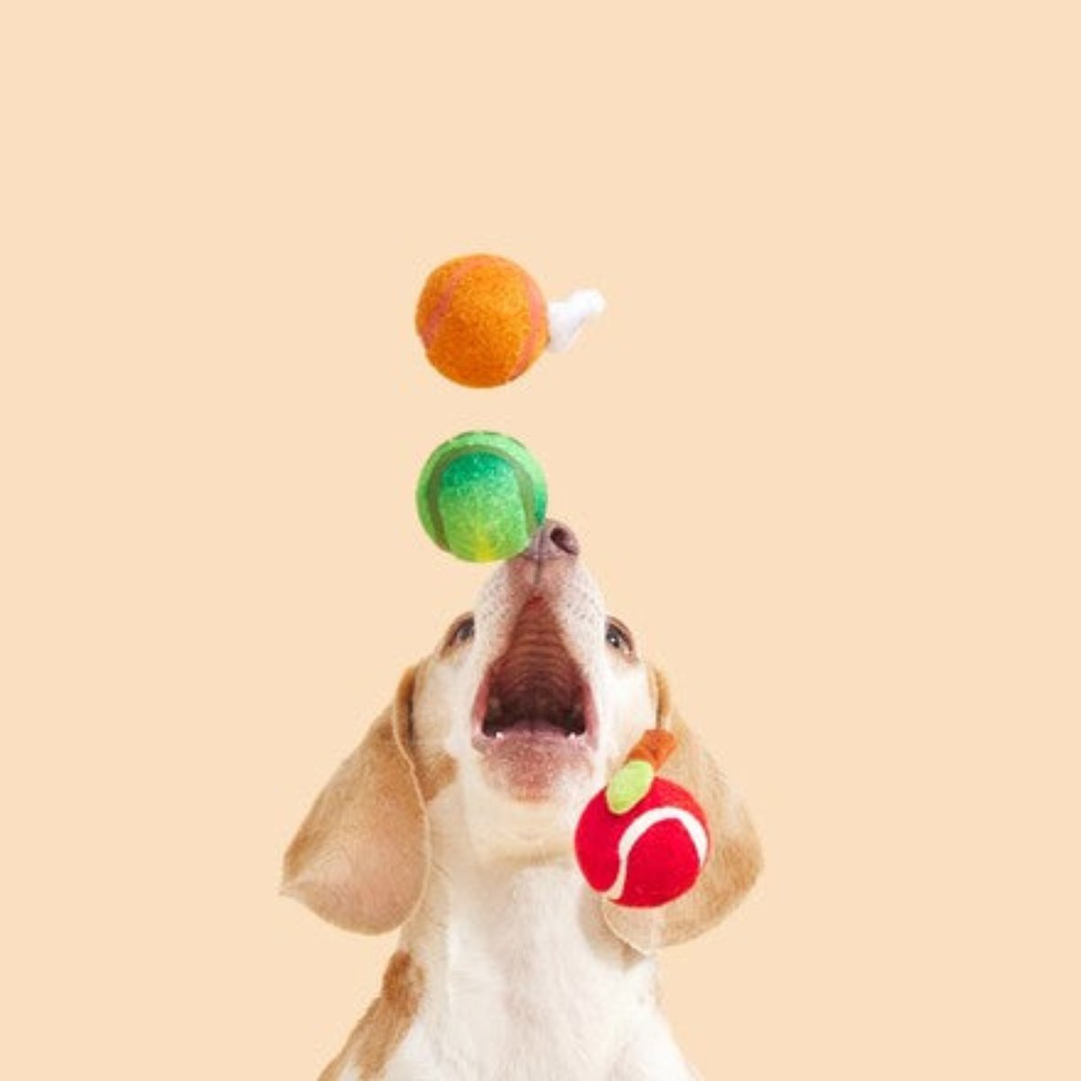 Turkey Begs / Fetchgiving Feast