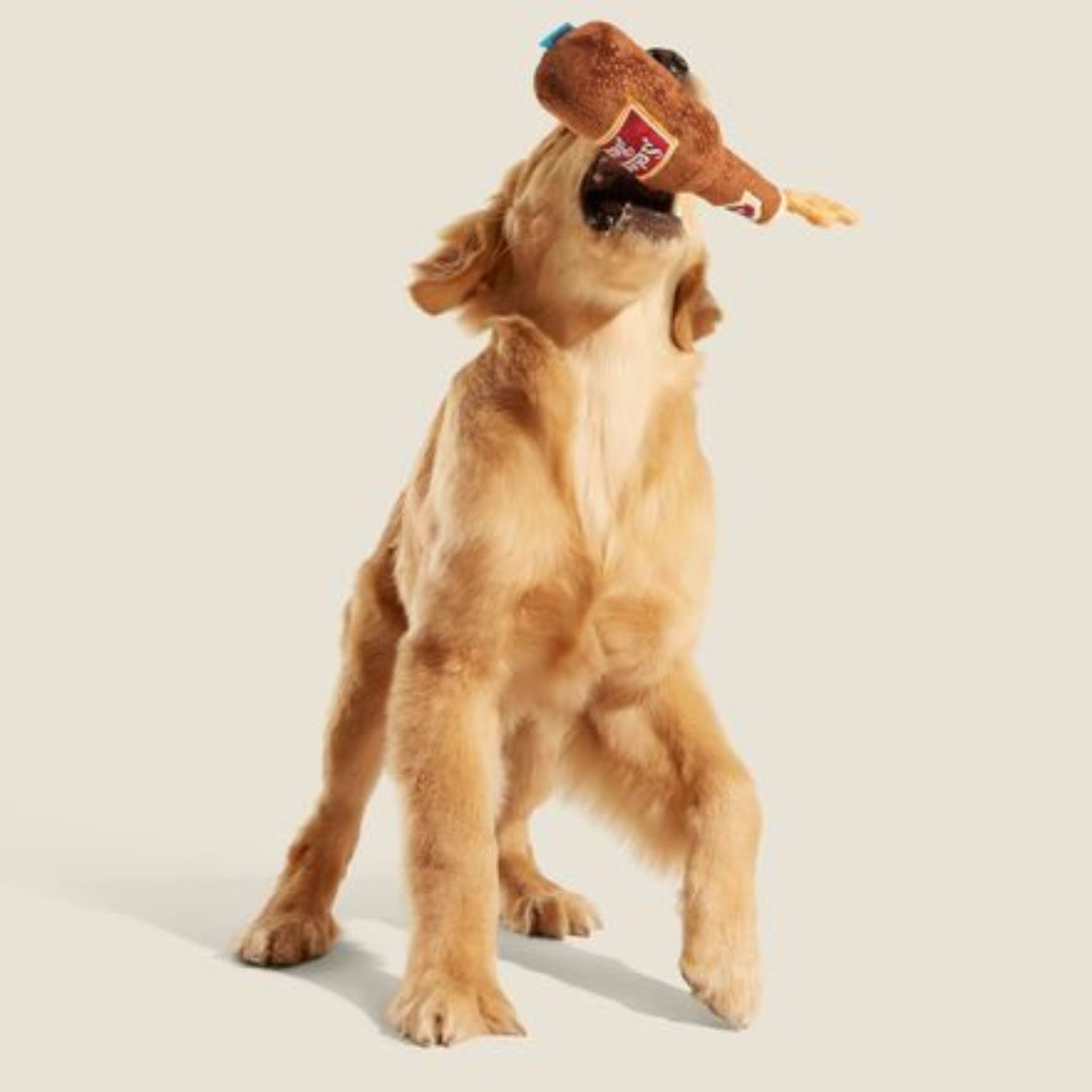 Old Fashioned Sploot Beer