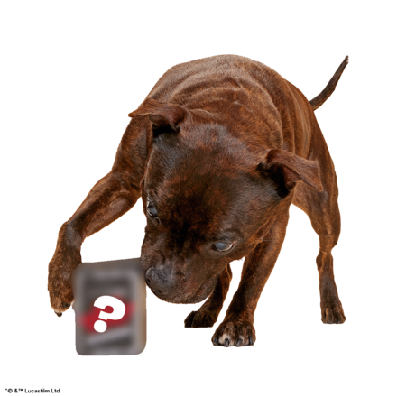 Star Wars™ Droid - IG-11™