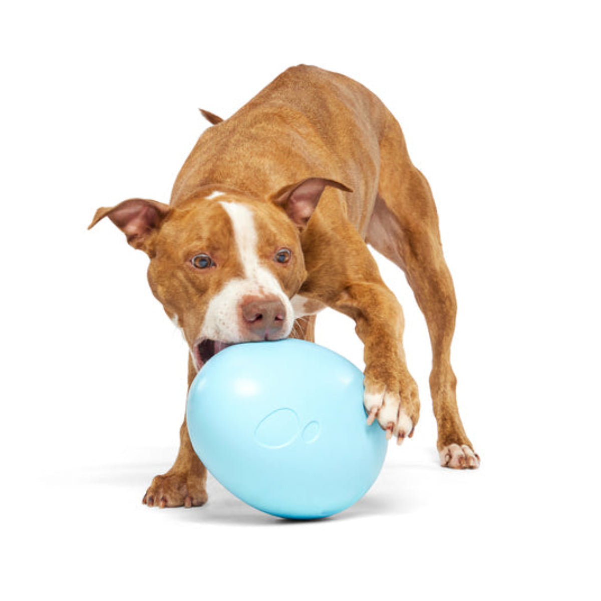 Eggstra Large Easter Egg Durable Super Chewer Fetch + Extra-Large Dog Toy