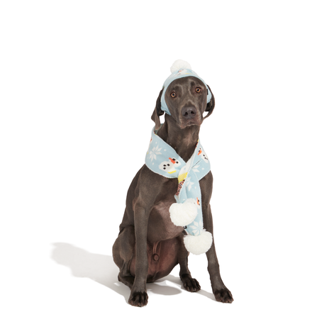 The Snowman Matching Set For Dogs And Humans