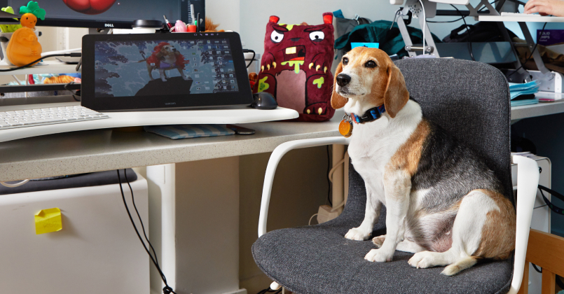 dog sitting in office chair