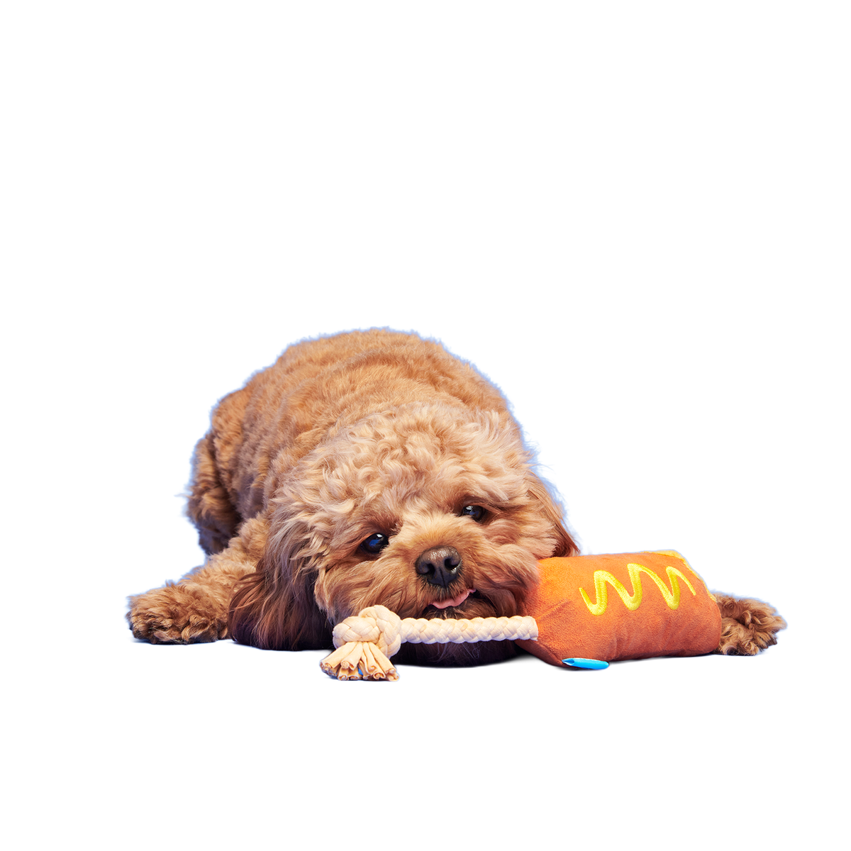 Corn Dog Tug Plush Rope Dog Toy