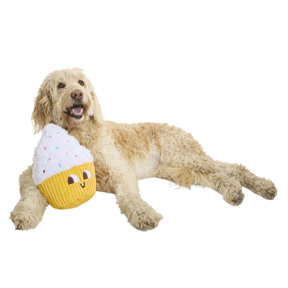 Colossal Cup Kate Plush Extra-Large Dog Toy – BARK