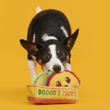 Doggo's Tacos Plush Multi-Part Dog Toy