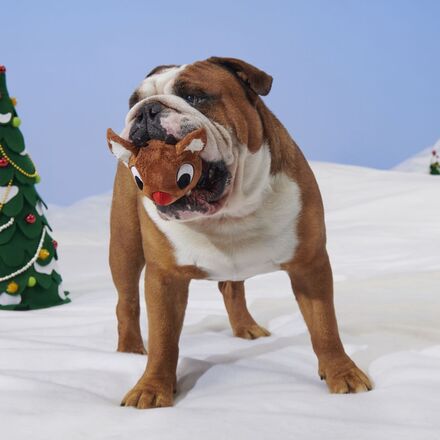 Reindeer Games™ Rudolph®