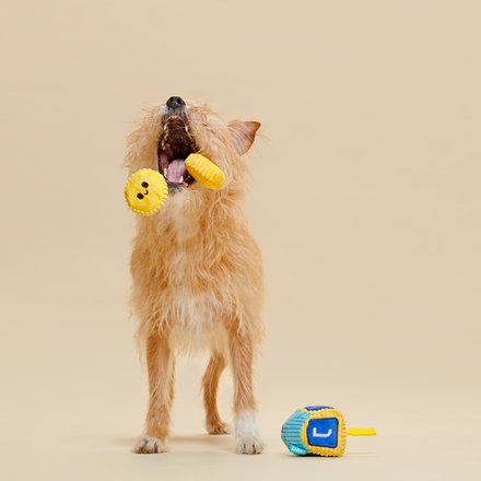 Mazel Toys Hanukkah Multi-Part Plush Toys