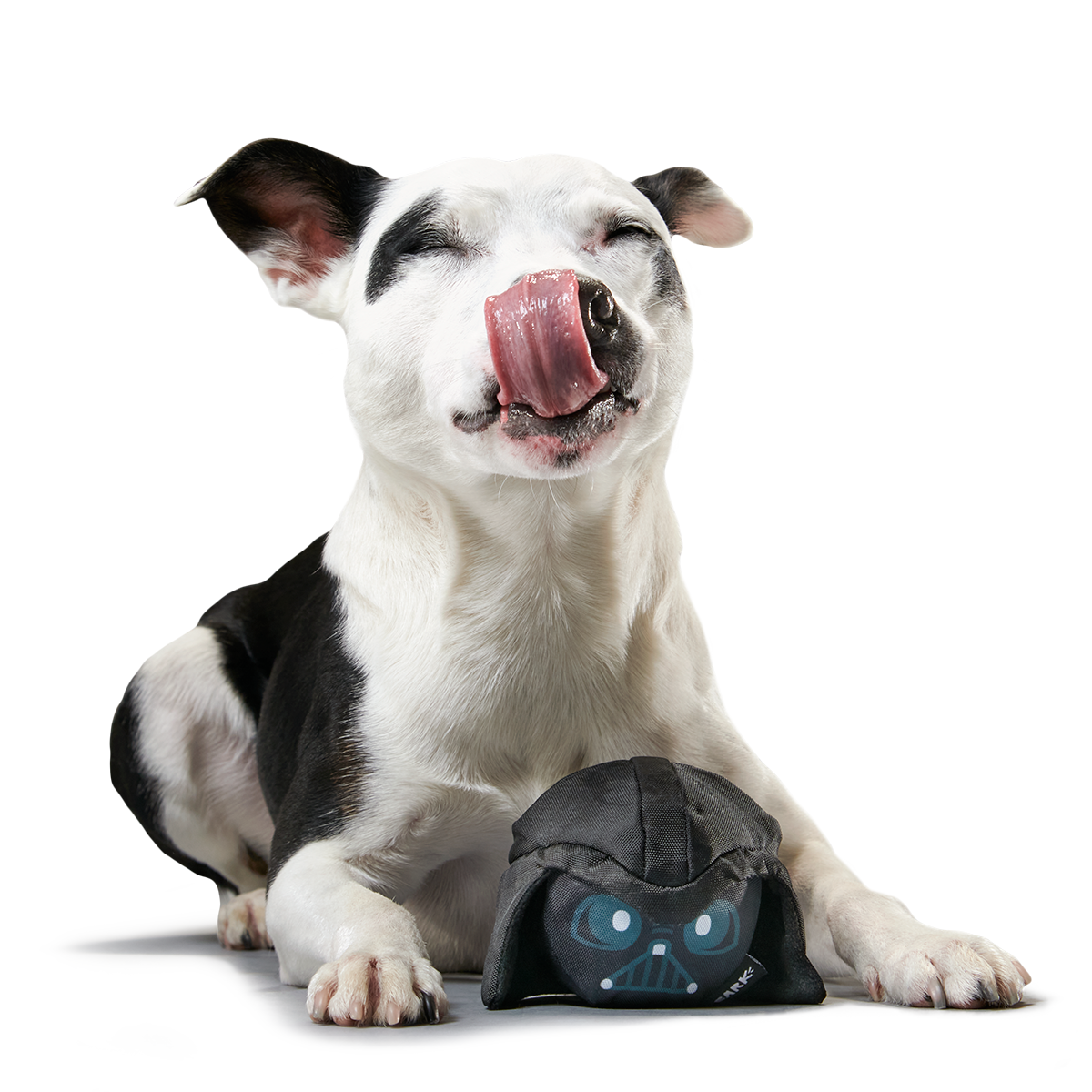 Power of the Bark Side