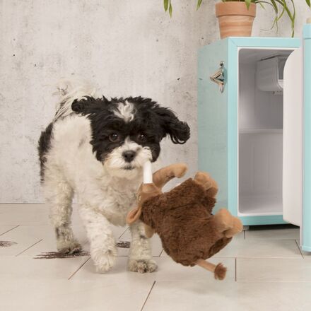 Winston the Wooly Mammoth