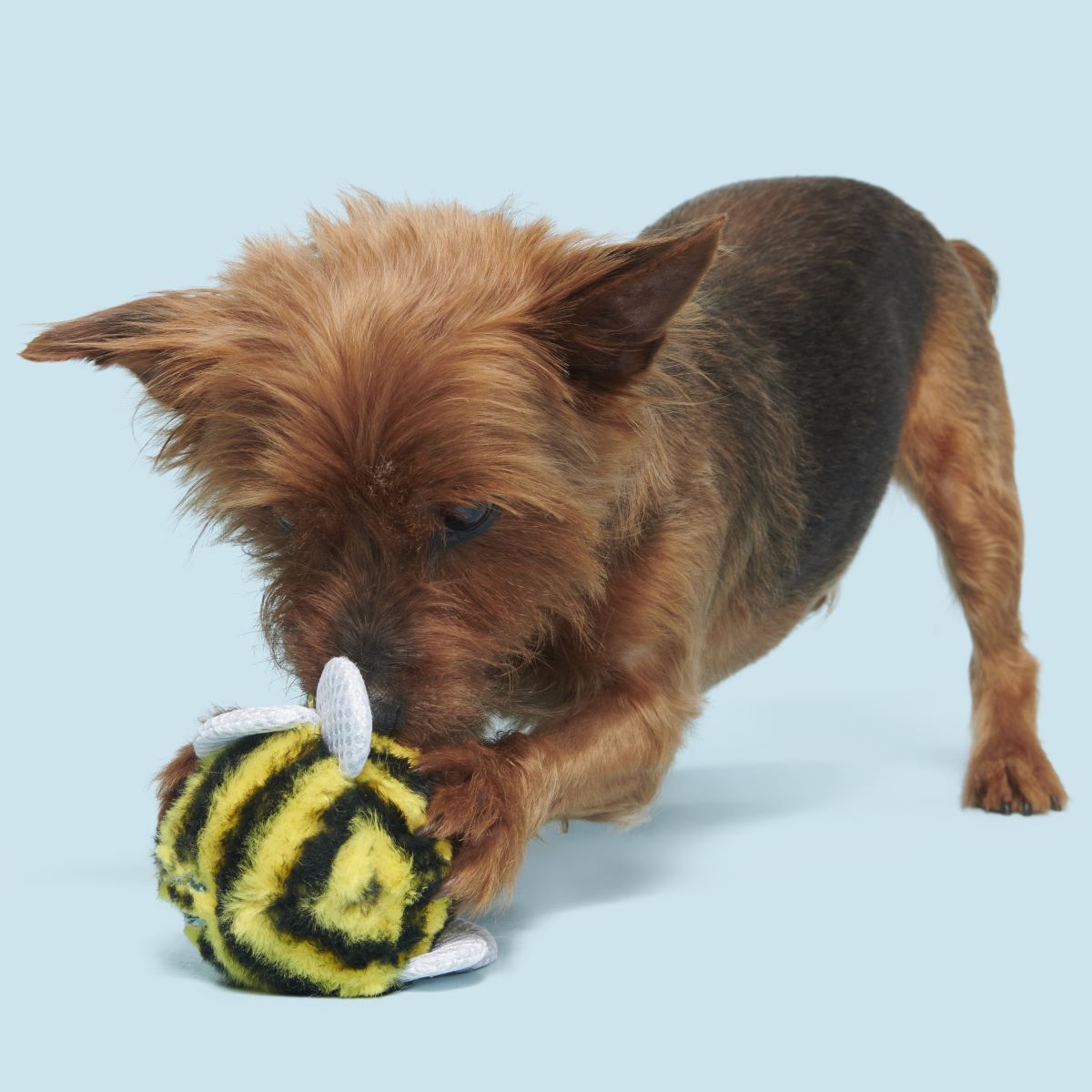 Buzzy Body Super Chewer Durable 2-in-1 Dog Toy