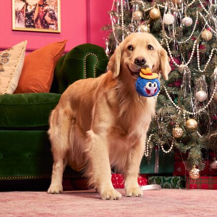 The Muppet Rizzo & Gonzo Super Chewer Bundle