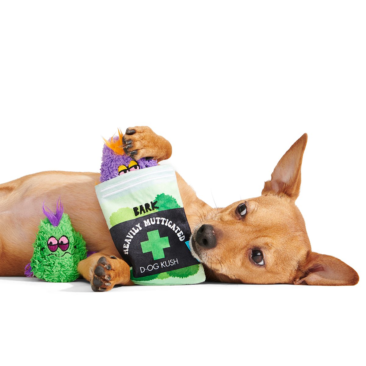 Bud Hounds BarkBox - One Month Gift Box#Dog Size_Small Dog