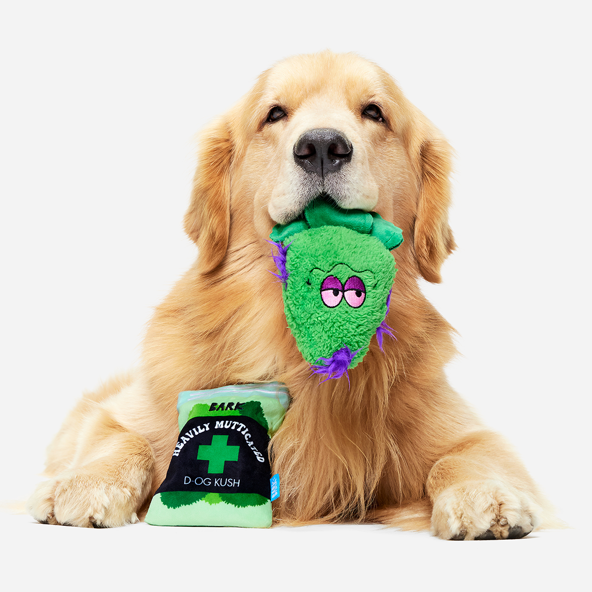 Bud Hounds BarkBox - One Month Gift Box#Dog Size_Large Dog