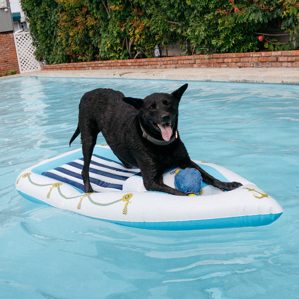 FUNBOY x Bark Yacht Pool Float