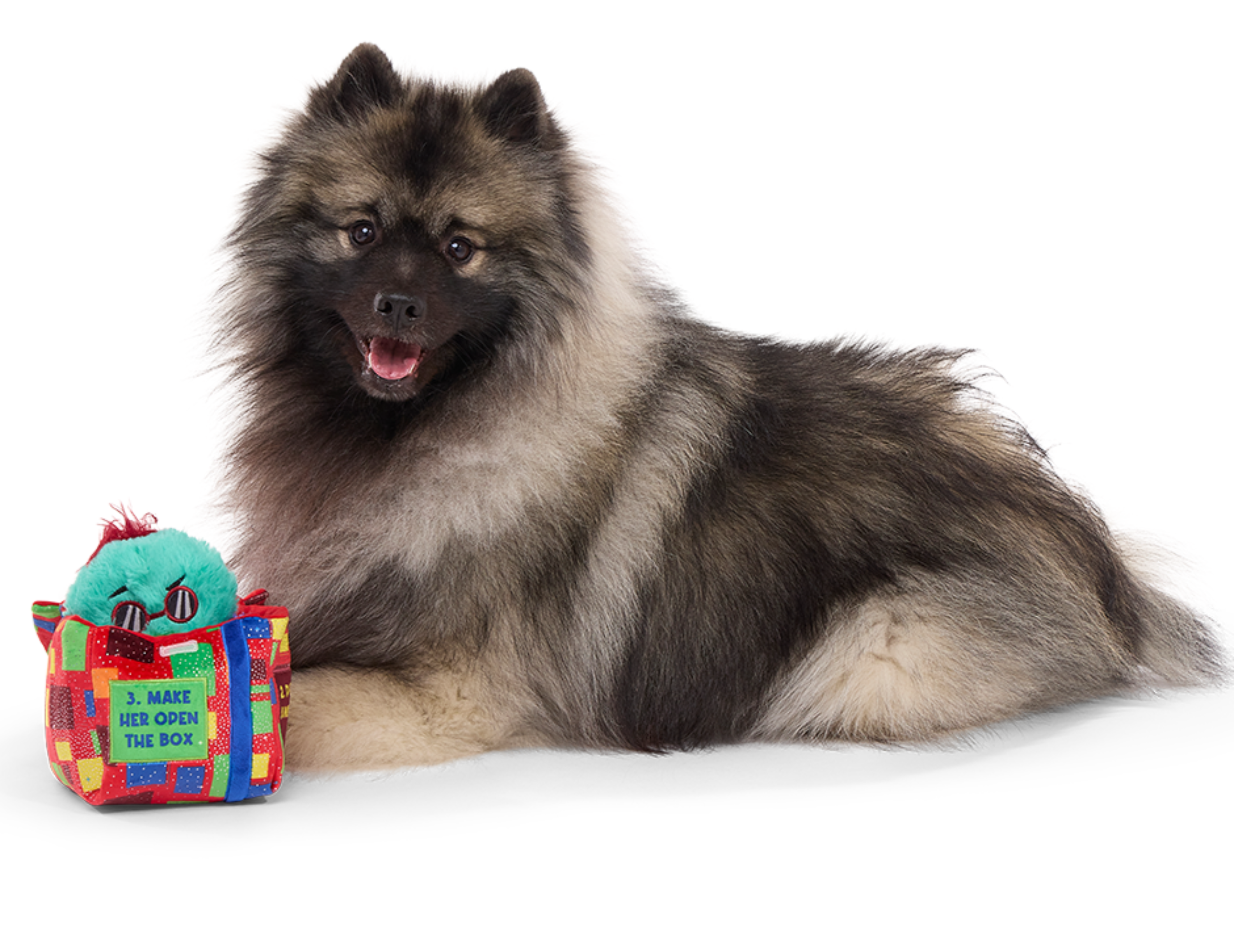 Saturday Night Live: Duck in A Box