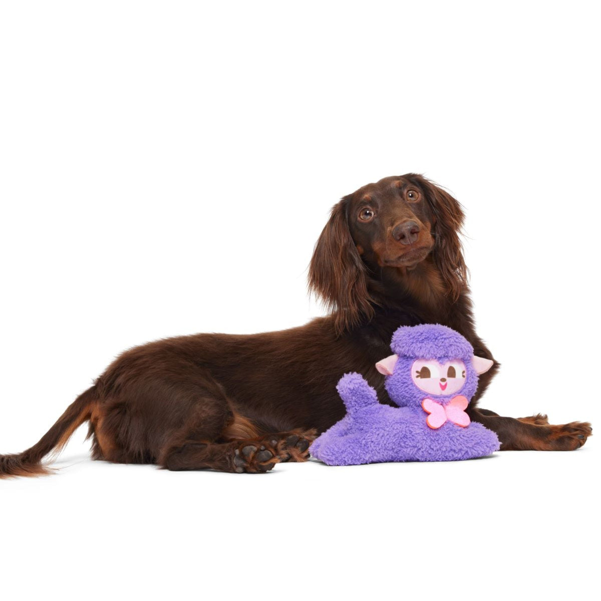 Lil' Bo Squeak Plush Dog Toy