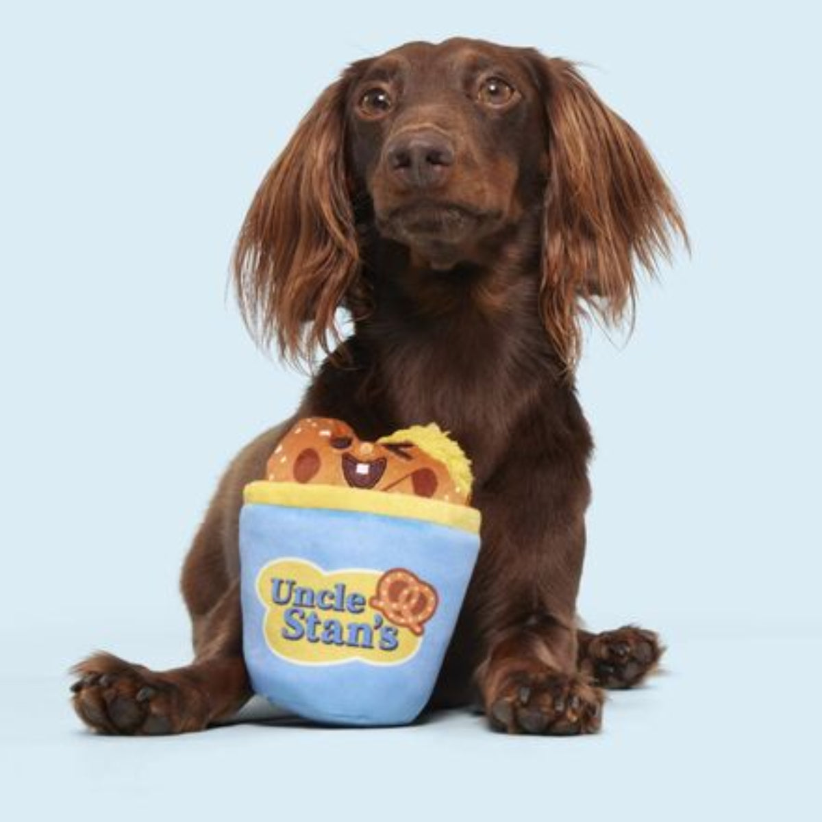 Salty Stan Plush Multi-Part Dog Toy