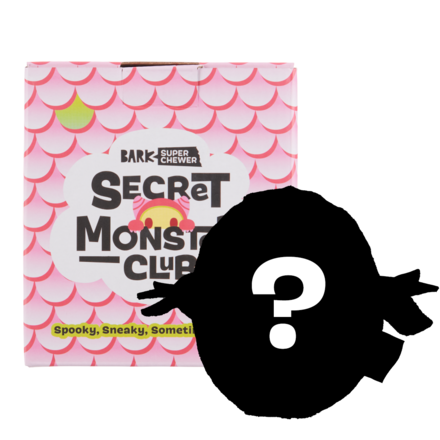 Flur - Secret Monster Club