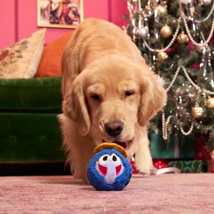 The Muppet Rizzo & Gonzo Super Chewer Bundle