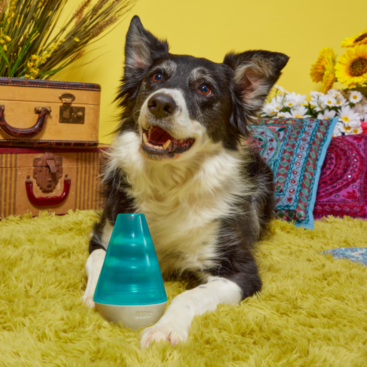 Lava Champ Durable Super Chewer Enrichment Dog Toy