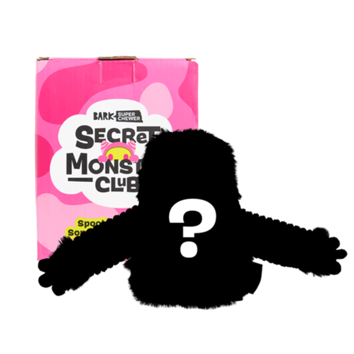 Secret Monster Club