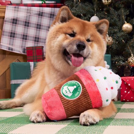 shiba with latte dog toy