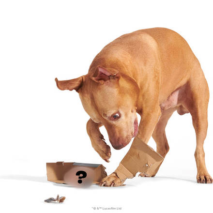 Star Wars™ Droid - Pit Droid