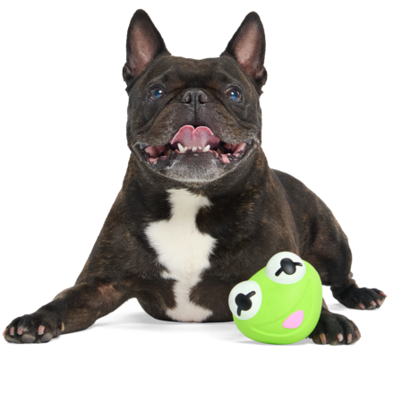 The Muppet Kermit & Miss Piggy Super Chewer Bundle