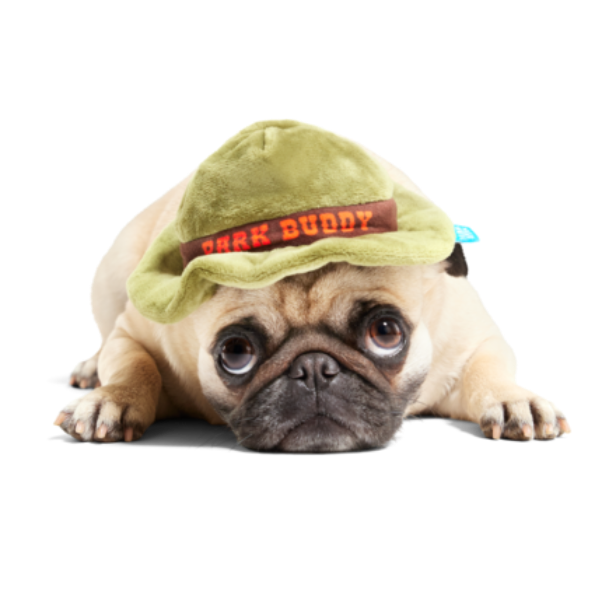 Park Buddy Hat