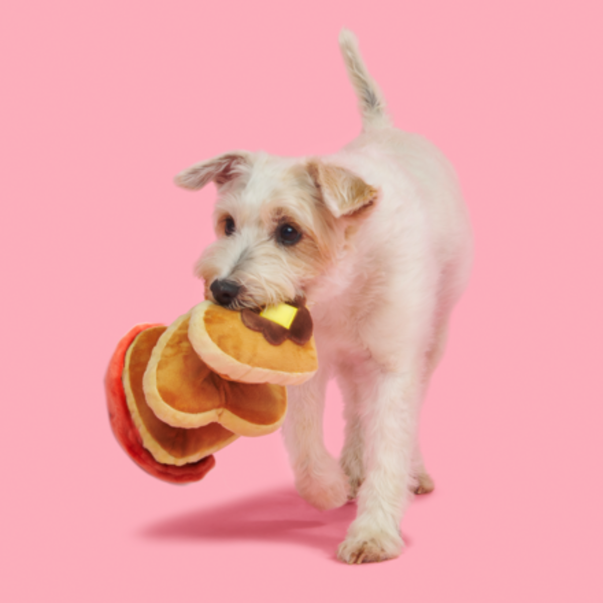 Love Stack Plush Tug Dog Toy