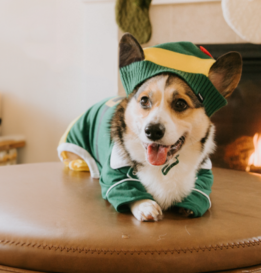 Elf Dog Toy & Treat Holiday Gift Box