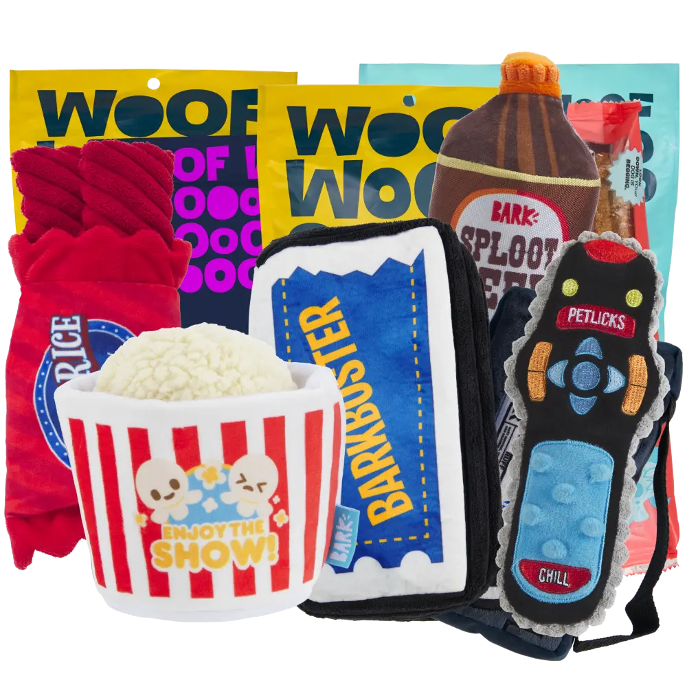 BARK 6 Month Subscription - FREE Extra Toys