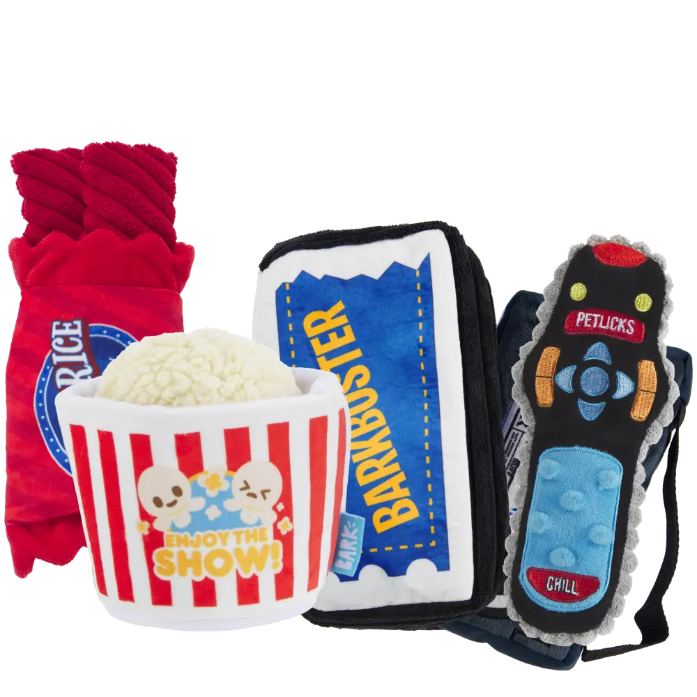 BARK 6 Month Subscription - FREE Extra Toys