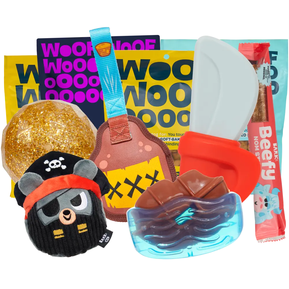 BARK 6 Month Subscription - FREE Extra Toys