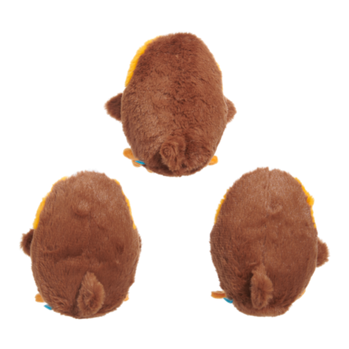 Star Wars™ Creature Club