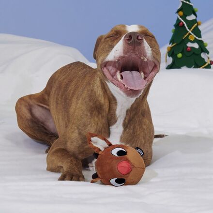 Reindeer Games™ Rudolph®