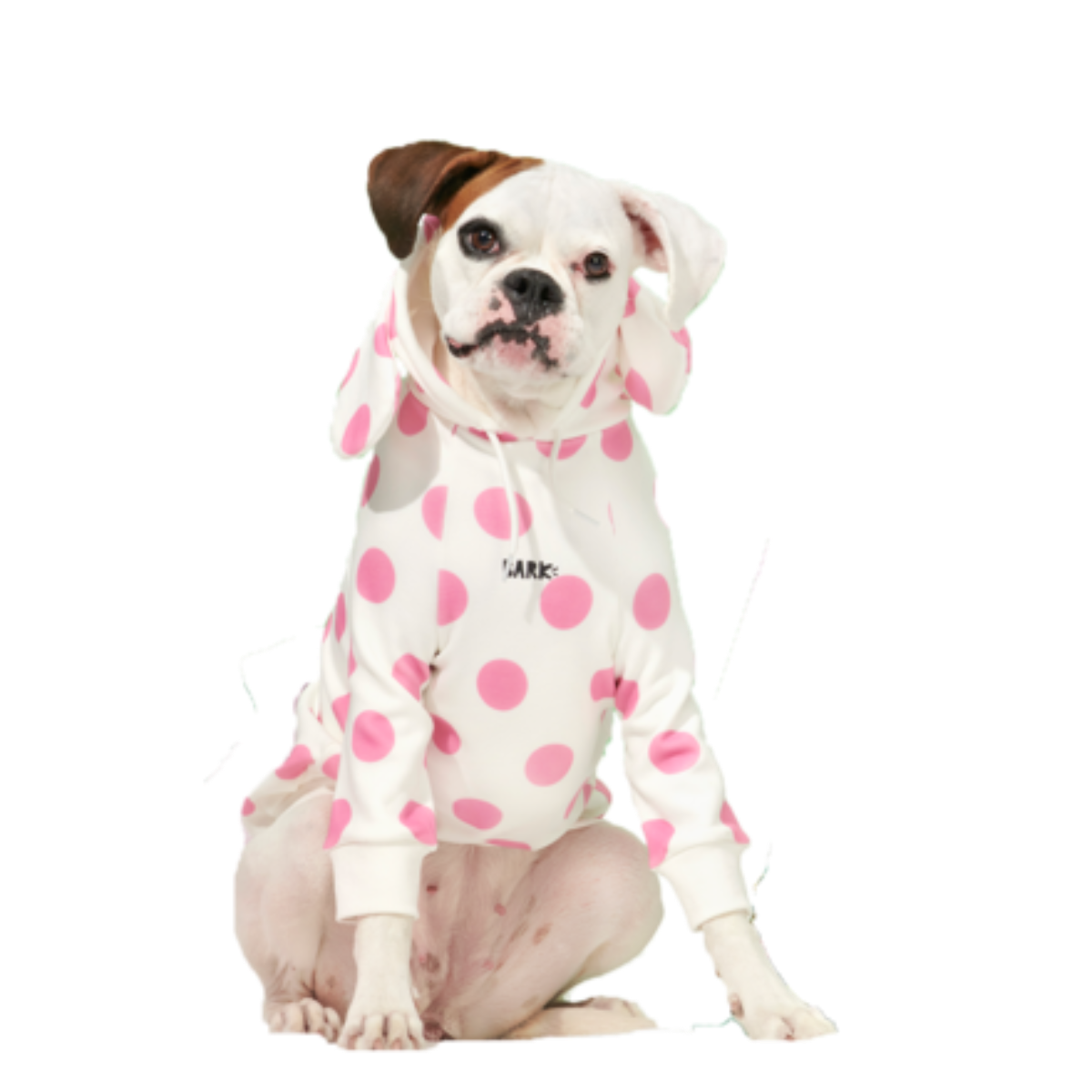 Spotted Elephant™ Dog Hoodie