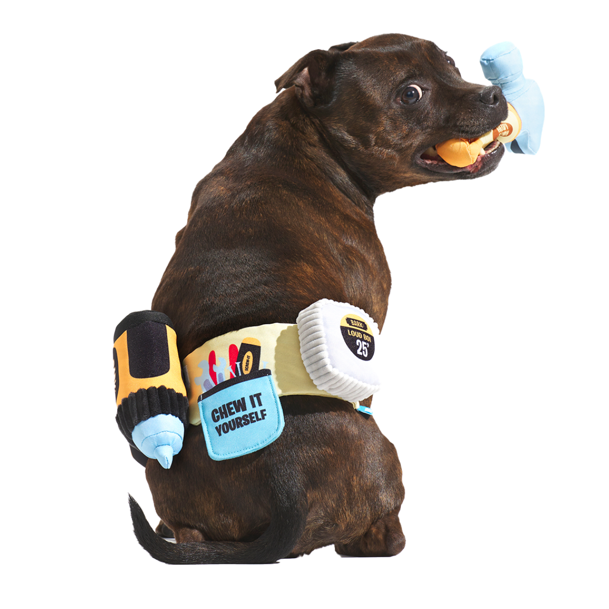 Fixer Pupper Tool Belt Plush Wearable Multi-Part Dog Toy – BARK