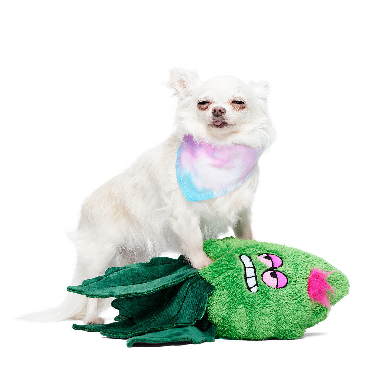 Foggy Green Giant Extra-Large Plush Dog Toy