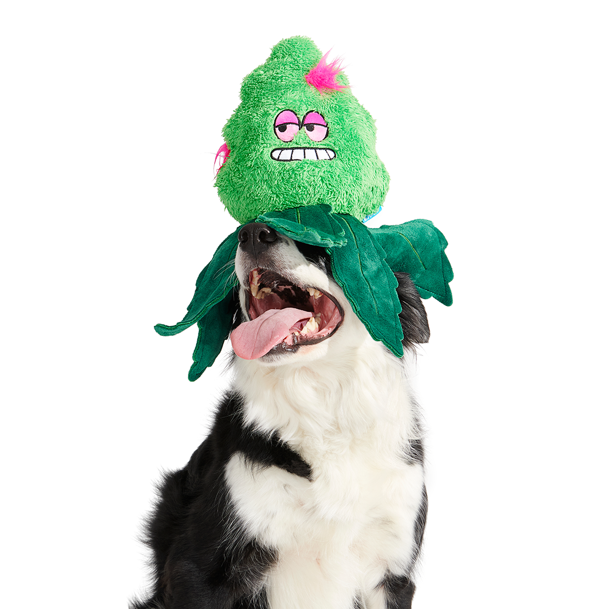 Foggy Green Giant Extra-Large Plush Dog Toy