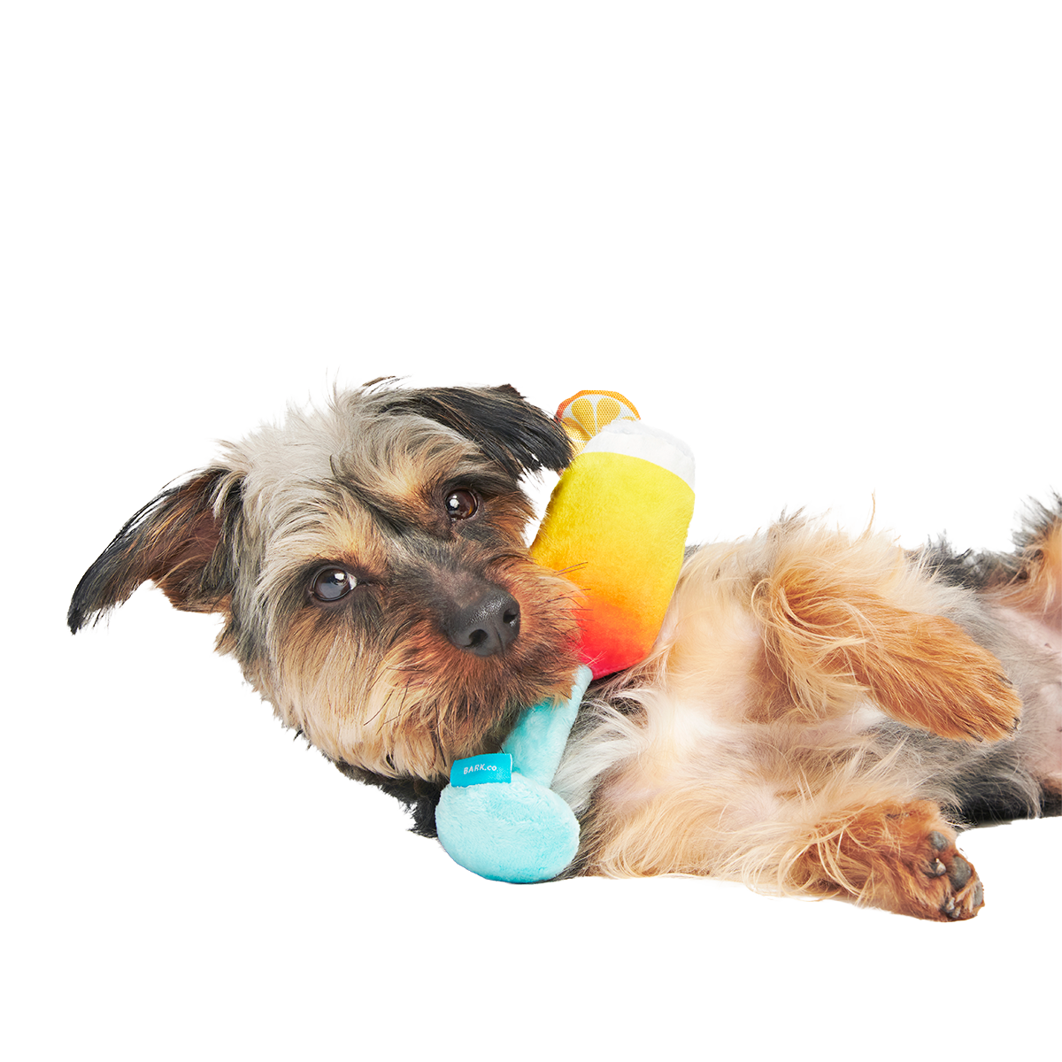 Cocktail Club, Plush Cocktail Monthly Dog Toys