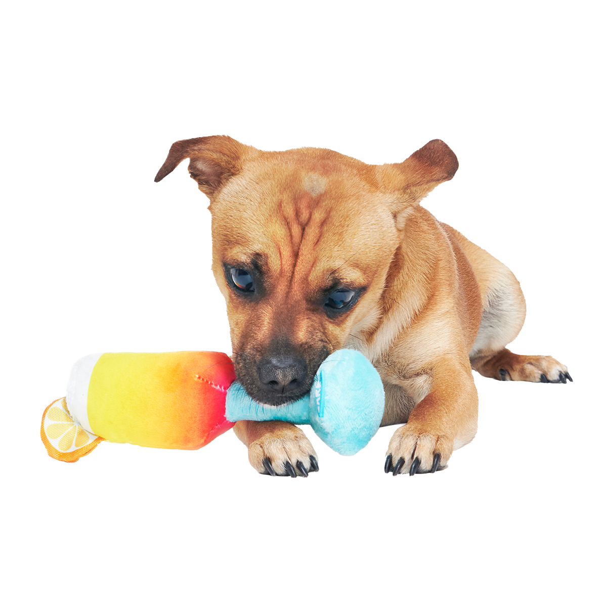 Cocktail Club, Plush Cocktail Monthly Dog Toys