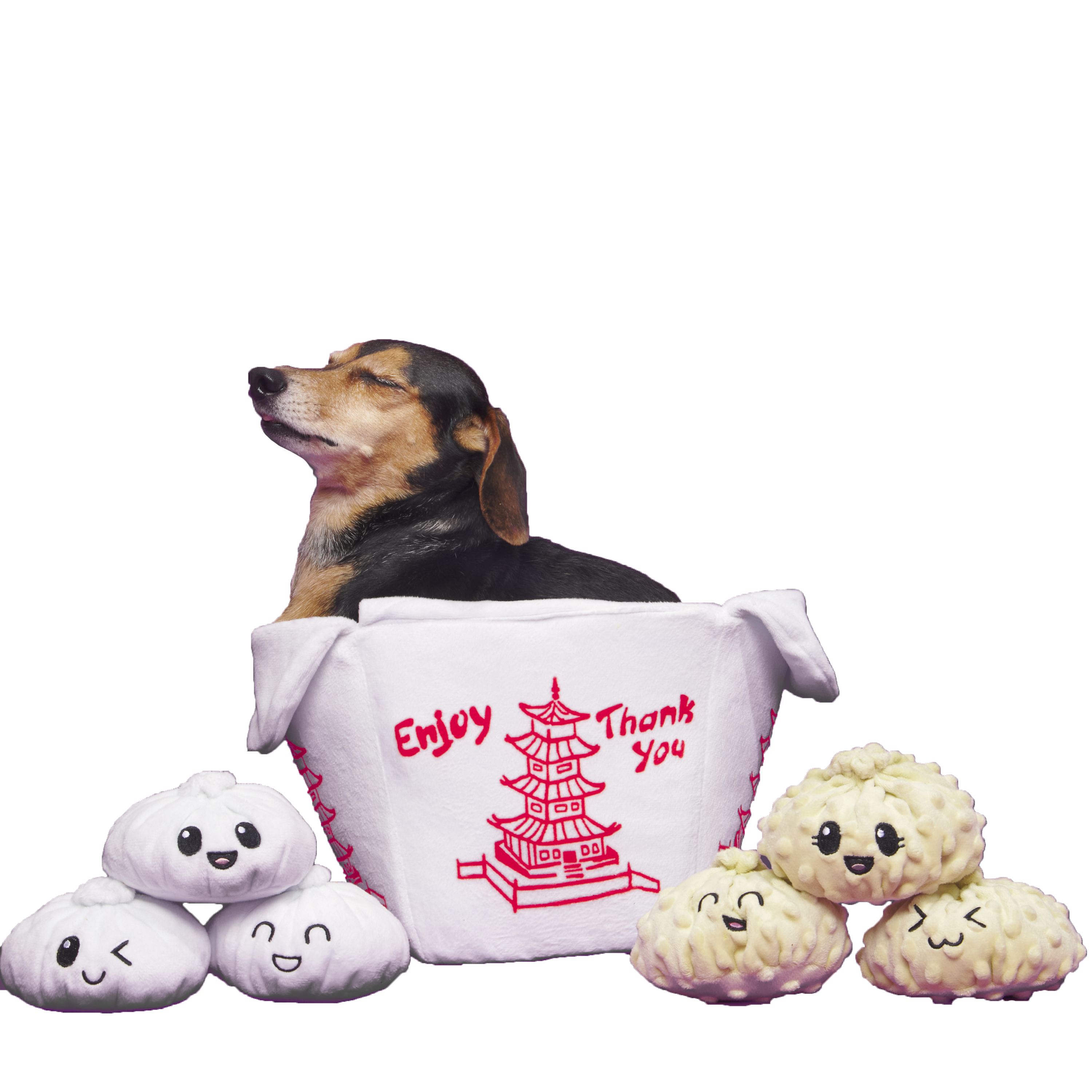 Andi's Famous Plush Dumplings