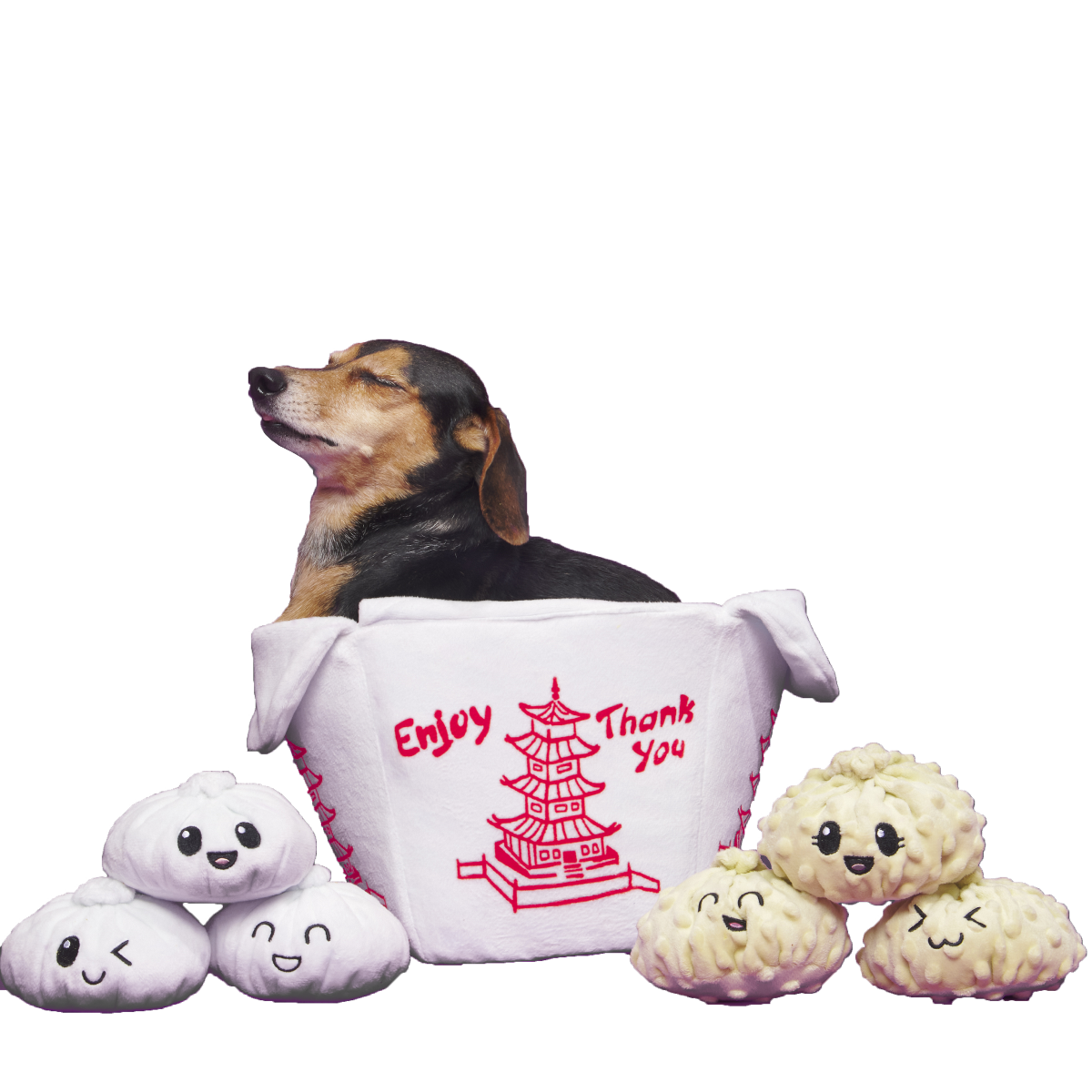 Andi's Famous Plush Dumplings Enrichment + Multi-Part + Extra
