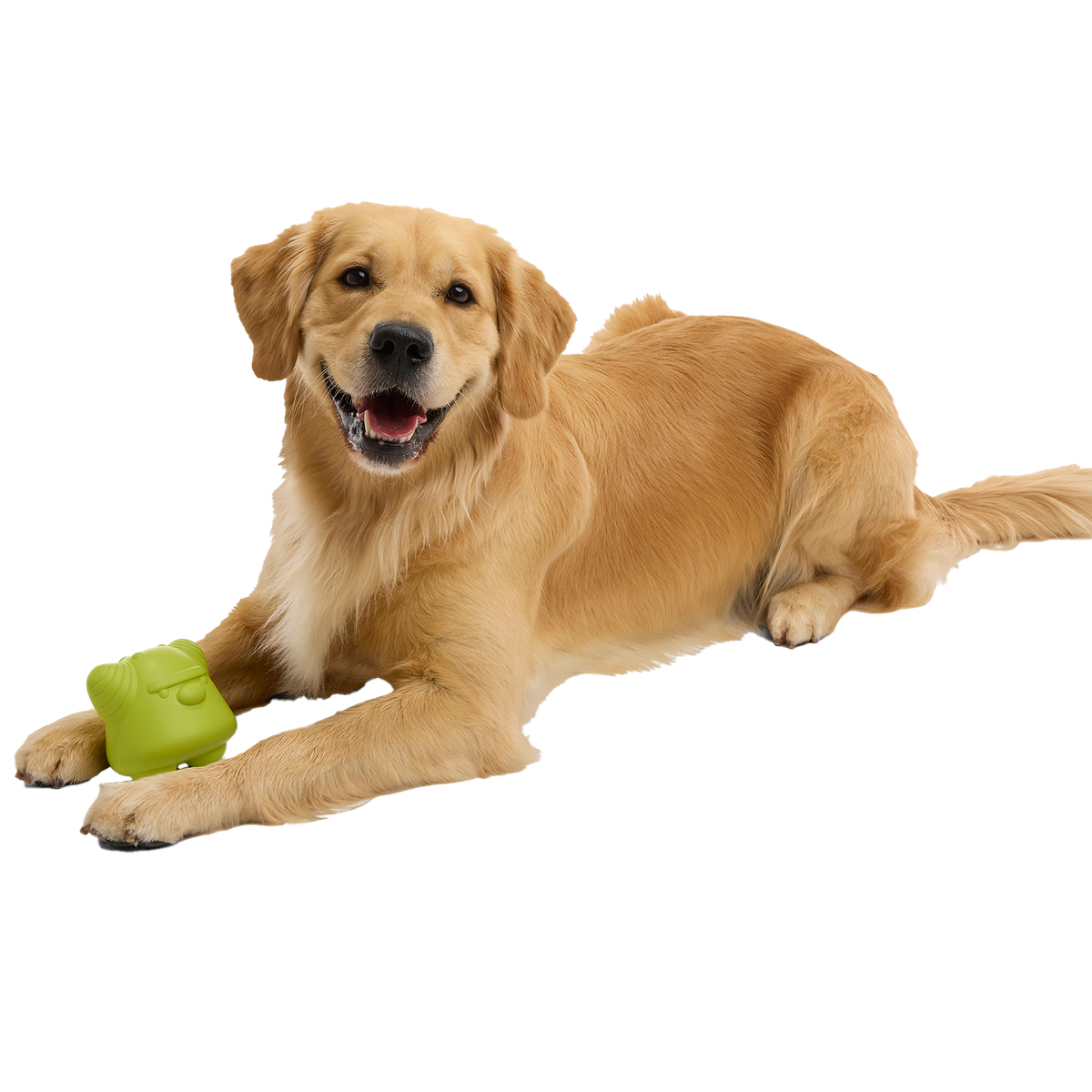 Goblin Booty Super Chewer Durable Gnaw Dog Toy