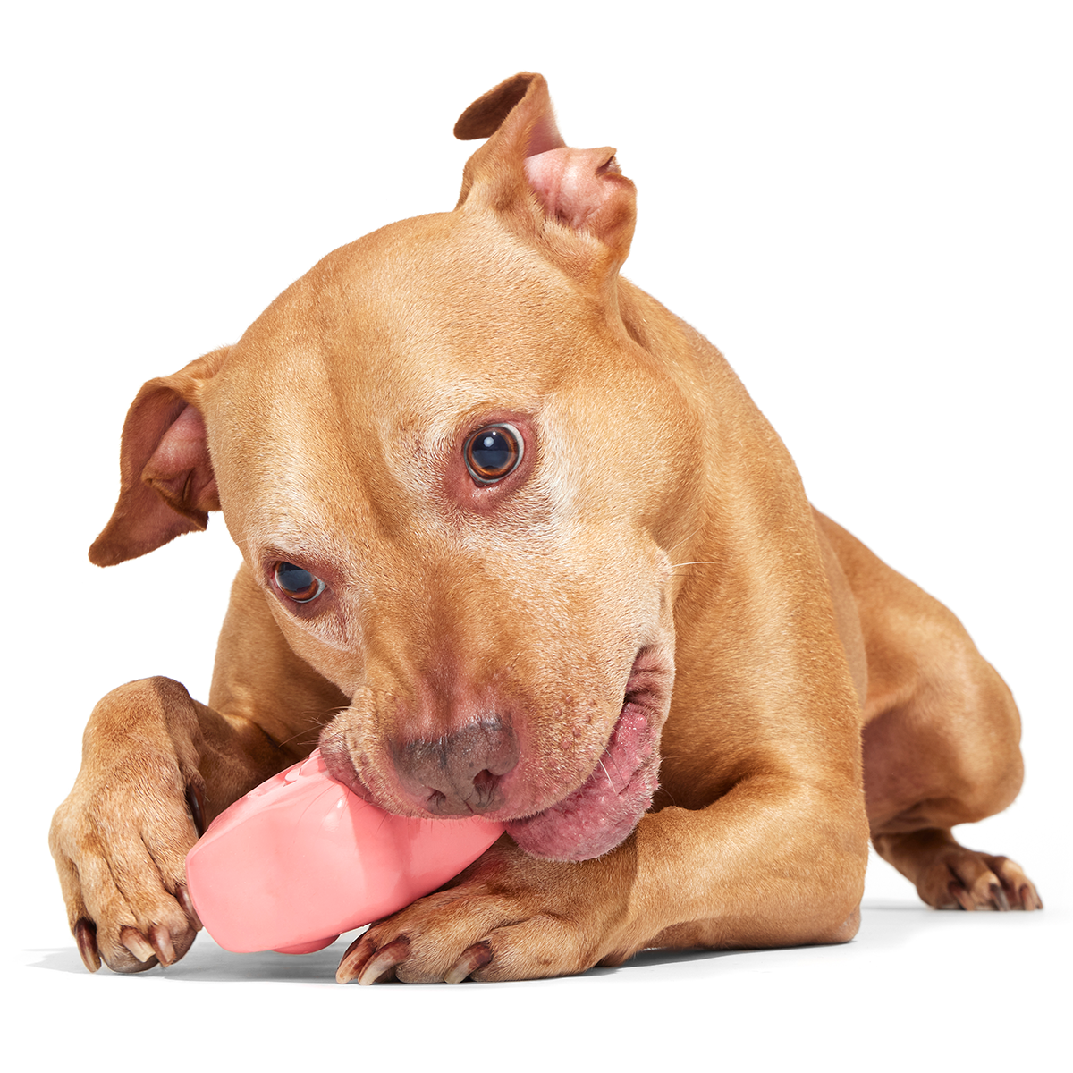 Goofy Goober Patrick