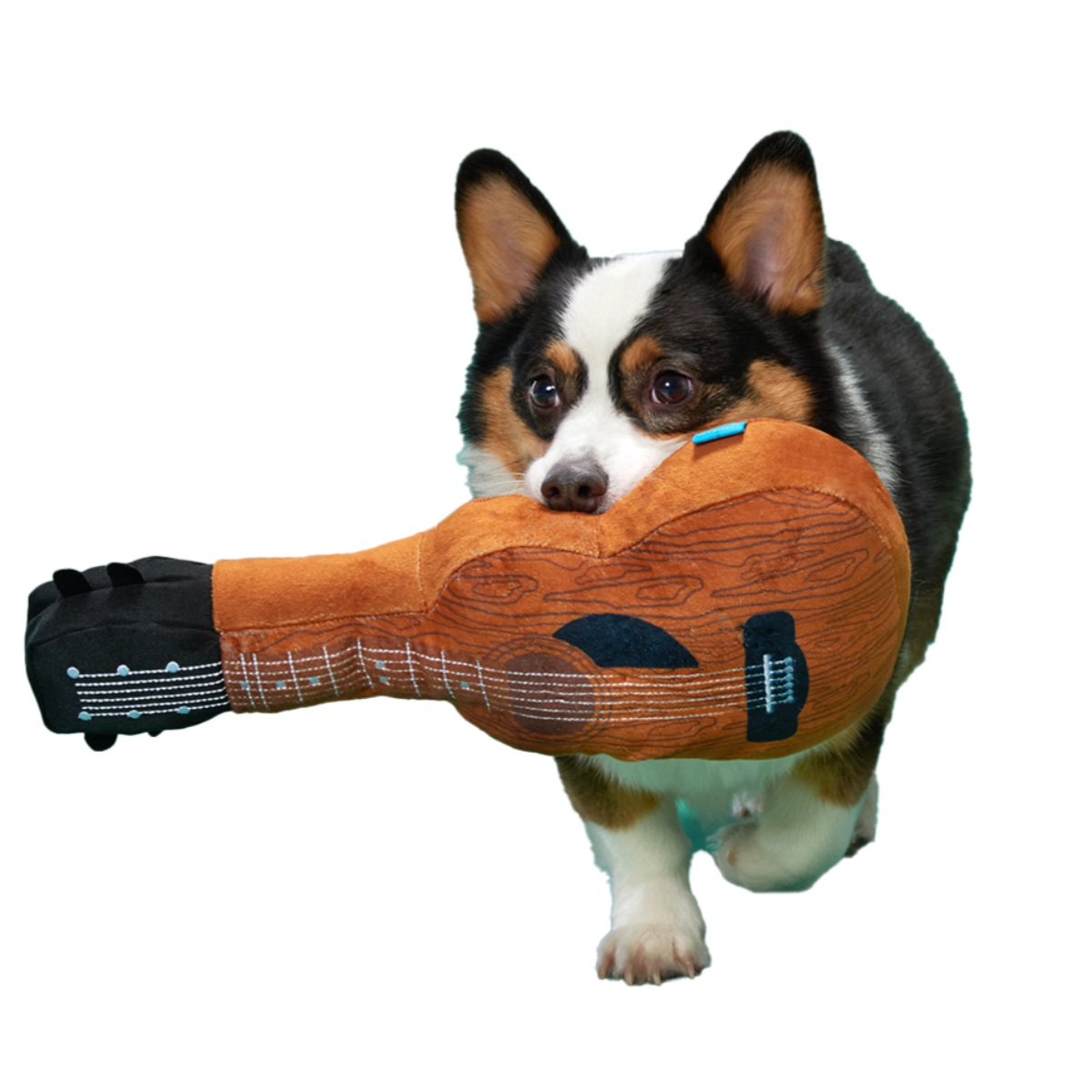 guitar.png?v=1762200944&width=2048